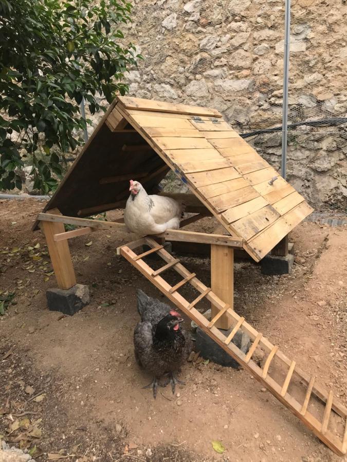 Dépendance De Bastide Climatisée Dans Parc Exceptionnel, Au Calme