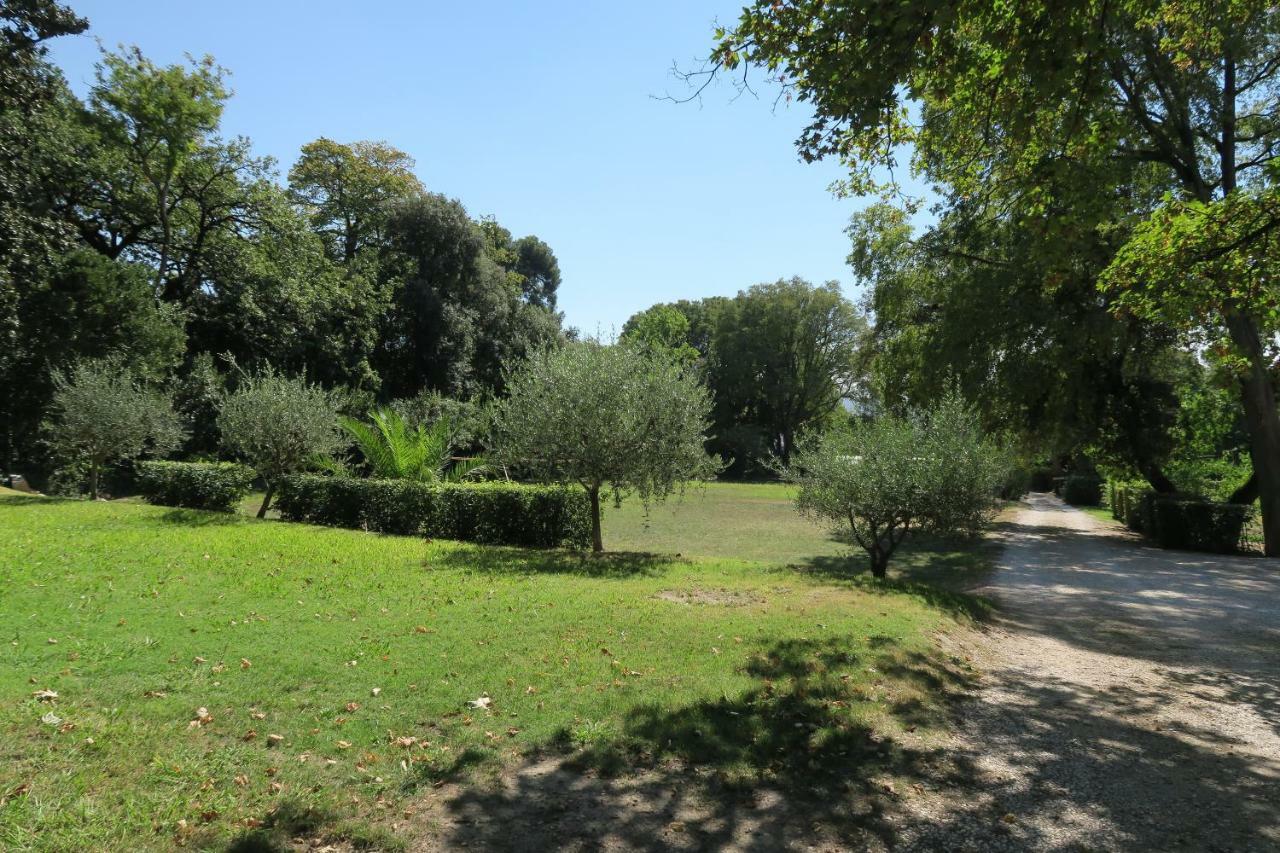 Dépendance De Bastide Climatisée Dans Parc Exceptionnel, Au Calme Hébergement de vacances Marseille
