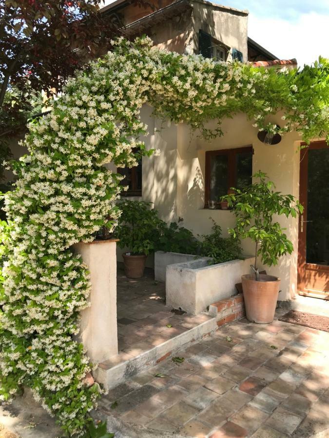 Dépendance De Bastide Climatisée Dans Parc Exceptionnel, Au Calme * Marseille